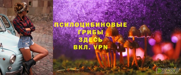 героин Пересвет