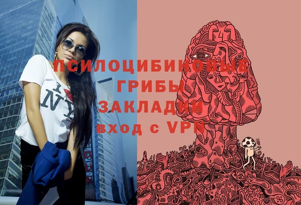 скорость Пестово