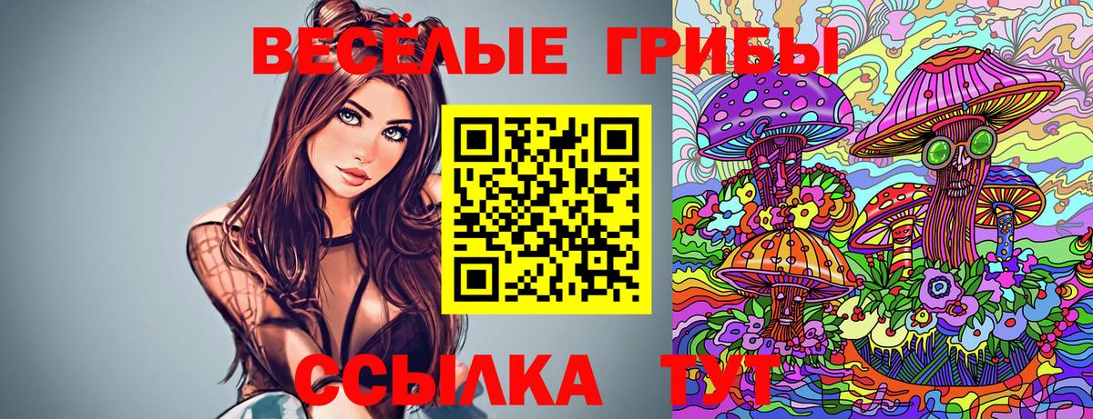 Псилоцибиновые грибы Psilocybine cubensis Чита